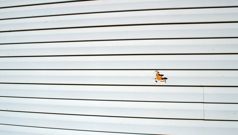 Final Inspection of Siding Repair